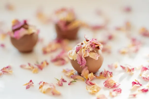 Casino Sun Palace Android/iOS rakendus